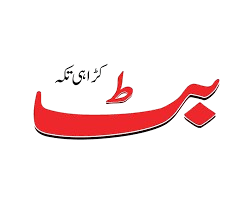 Butt Karahi logo