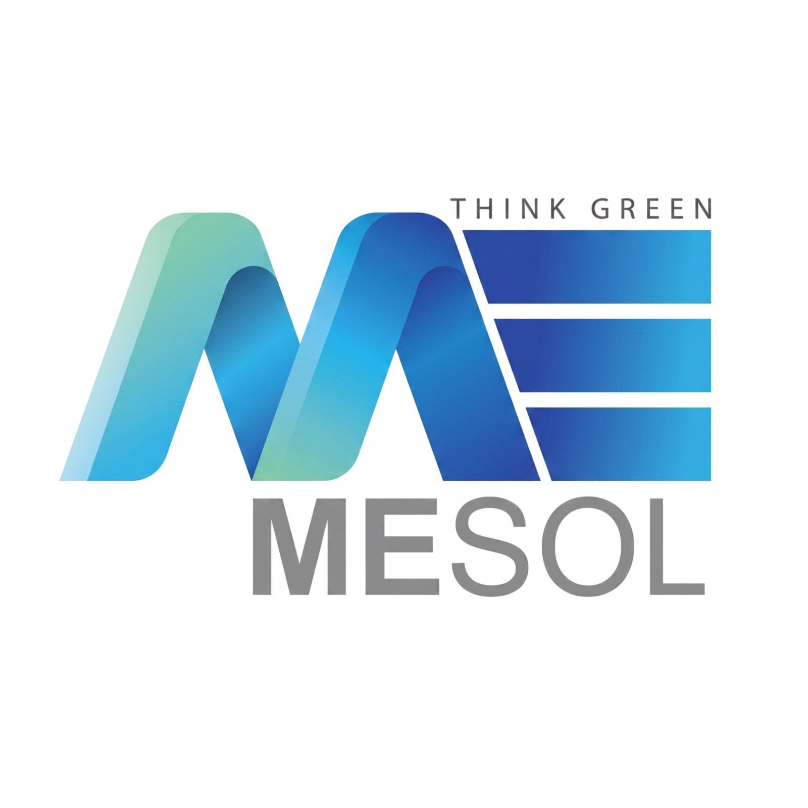 Mesol Pvt LTD logo